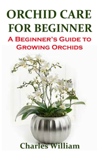 Orchid Care for Beginners