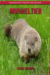 Murmeltier