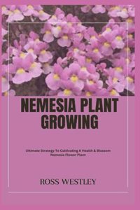 Nemesia Plant Growing