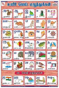 Teachingnest Tamil Alphabet Chart | Laminated 33X48 Cm (13X19 Inch) | Wall Sticking