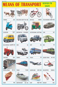Vehicles Chart For Kids | 70X100 Cm (Extra Large Size To Attract Kids) | Non-Tearable And Waterproof | Perfect For Homeschooling, Kindergarten And Nursery Students