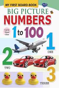 Sawan My First Big Picture Numbers 1 To 100 Board Book