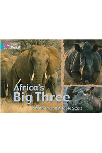 Africa's Big Three: Ban/07 Turquoise