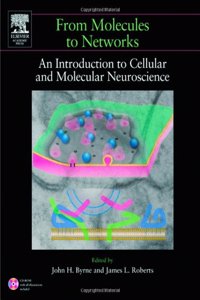 From Molecules to Networks: An Introduction to Cellular and Molecular Neuroscience