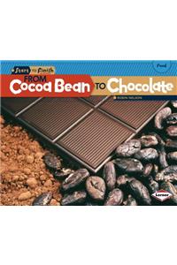 From Cocoa Bean to Chocolate