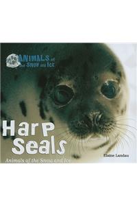 Harp Seals