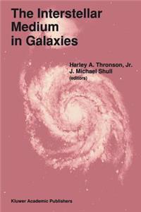 Interstellar Medium in Galaxies