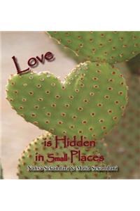 Love is Hidden in Small Places