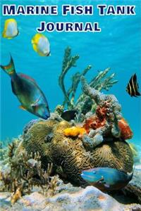 Marine Fish Tank Journal