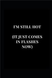 I'm Still Hot (It Just Comes In Flashes Now)