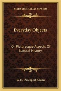 Everyday Objects: Or Picturesque Aspects Of Natural History