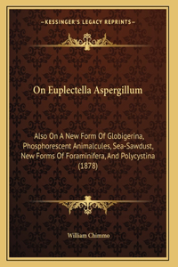 On Euplectella Aspergillum