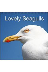Lovely Seagulls 2017