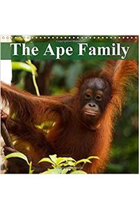 The Ape Family 2017