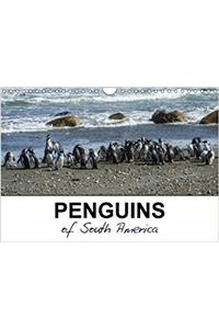 Penguins of South America 2018