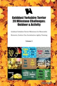 Golddust Yorkshire Terrier 20 Milestone Challenges