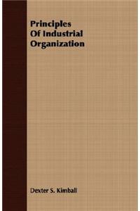 Principles of Industrial Organization