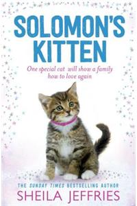 Solomon's Kitten