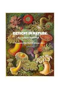 Designs in Nature