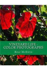Vineyard Life - Color Photographs