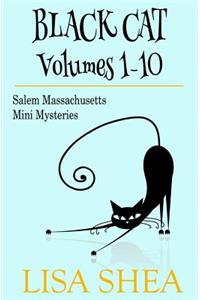 Black Cat Vols. 1-10 - The Salem Massachusetts Mini Mysteries