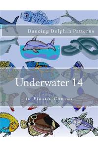 Underwater 14