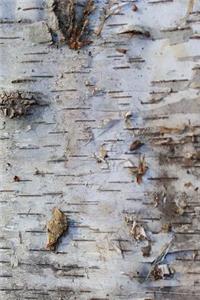 Old Birch Bark Journal