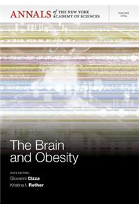 Brain and Obesity, Volume 1264
