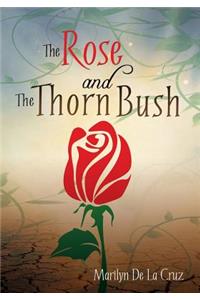Rose and the Thorn Bush