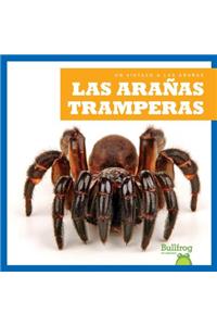 Las Arañas Tramperas (Trapdoor Spiders)