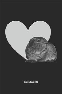 Meerschweinchen mit Herz