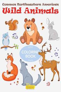 Common Northeastern American Wild Animals Coloring Book