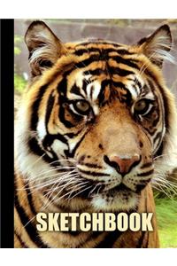 Sketchbook