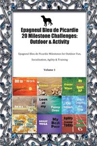 Epagneul Bleu de Picardie 20 Milestone Challenges