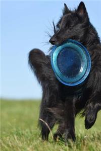 Belgian Shepherd Dog Groenendael Playing Catch Journal