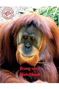 Orang-utan Sketchbook