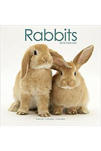 Rabbits Calendar 2018 (Square)