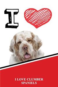 I Love Clumber Spaniels