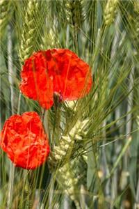 Poppy Growing in a Wheat Field Journal