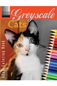 Grayscale Cats Adult Coloring Book
