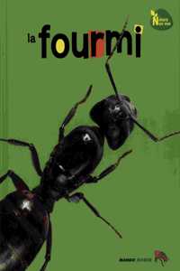 La fourmi