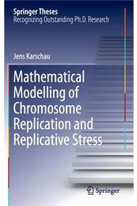 Mathematical Modelling of Chromosome Replication and Replicative Stress