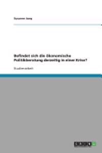Befindet sich die ökonomische Politikberatung derzeitig in einer Krise?