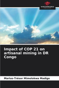 Impact of COP 21 on artisanal mining in DR Congo