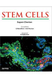 Stem Cells