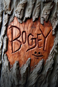 Bogey