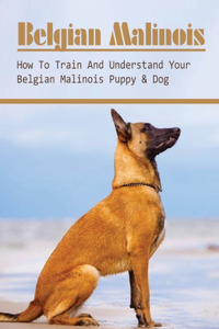 Belgian Malinois