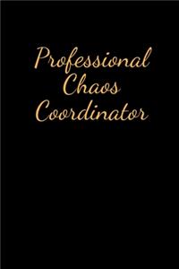 Professional Chaos Coordinator.
