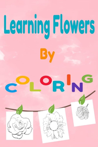 Learning flowers by coloring