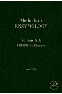 Crispr-Cas Enzymes